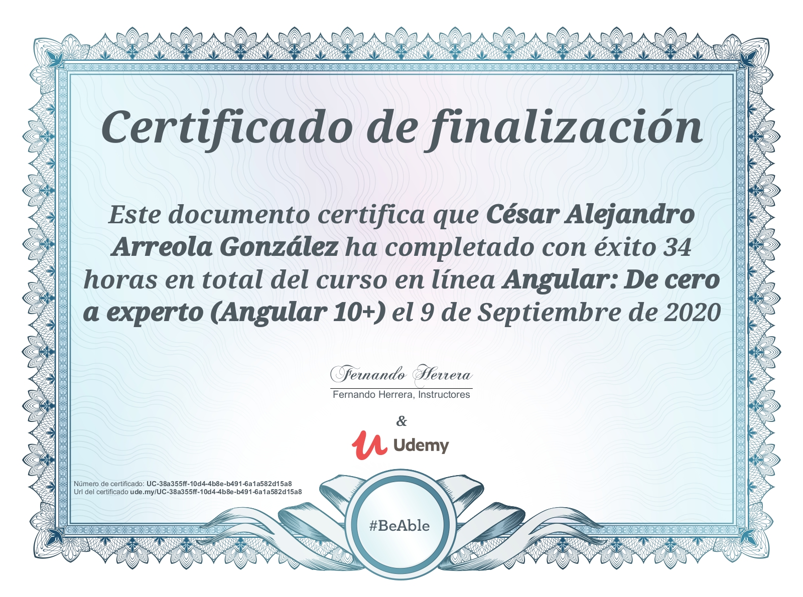 César Alejandro Arreola González - Full Stack Developer (.NET, NestJS ...