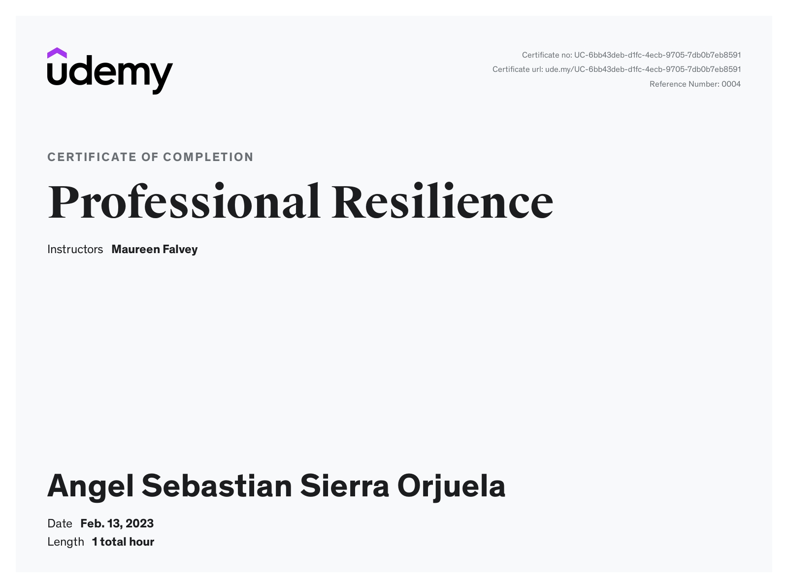 Angel Sebastian Sierra Orjuela International Business Management