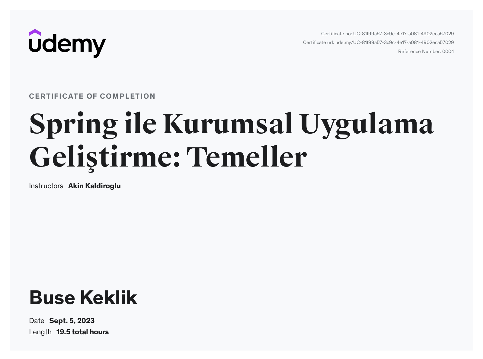 buse-keklik-etiya-linkedin