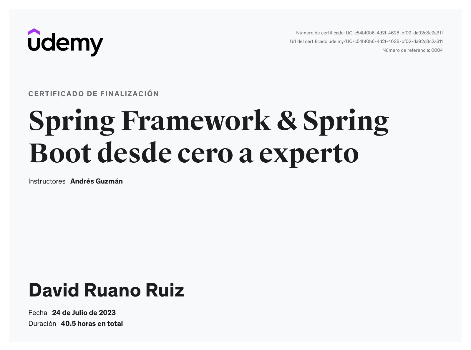 David Ruano Ruiz - Java Developer at NTT Data | Creation of ...