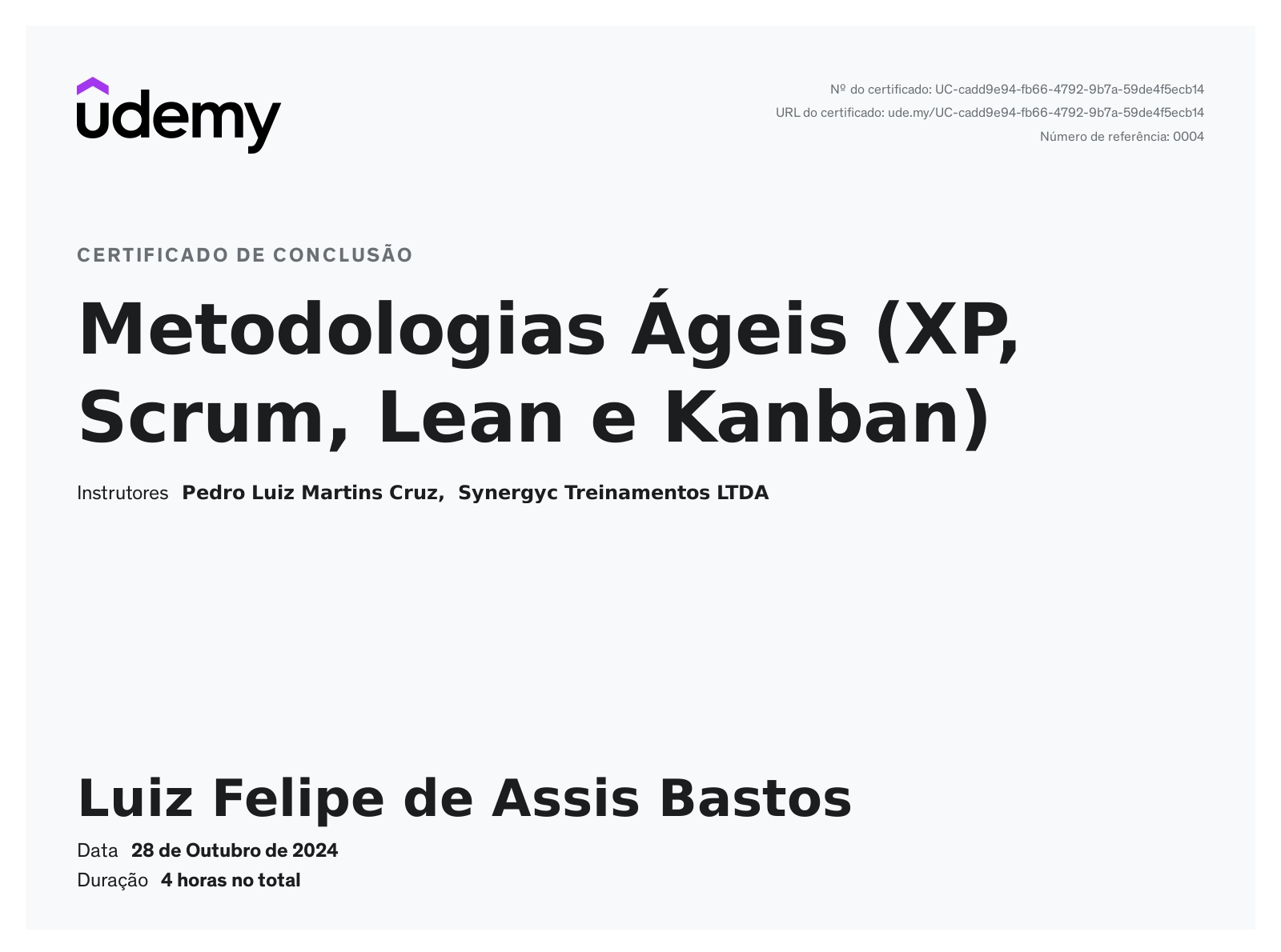 Luiz Felipe Bastos - Full Stack Developer | Python | JS | React | Node ...